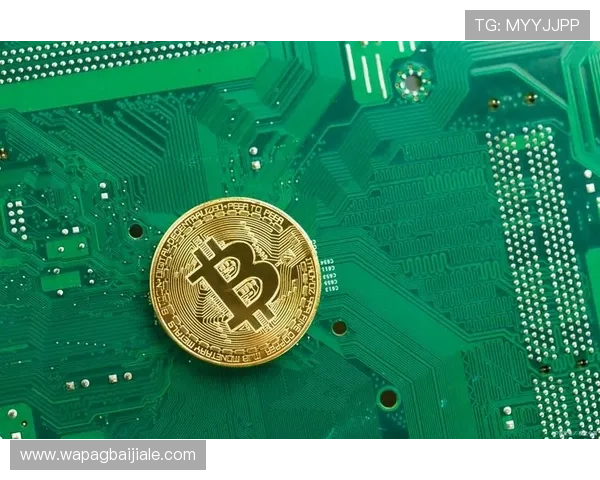 亚星百家官网网多样化的游戏类型满足不同玩家的多元需求