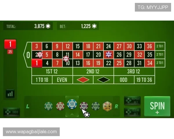 十大赌场真人游戏的法律法规与合规性分析，保障玩家权益与游戏安全