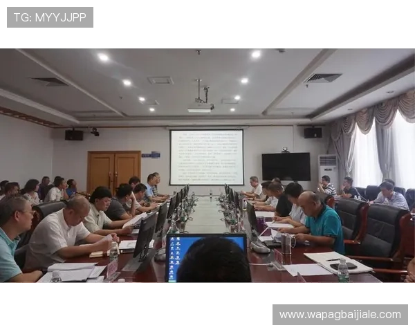 多宝视讯公司所在国家的行业政策对企业运营的影响分析